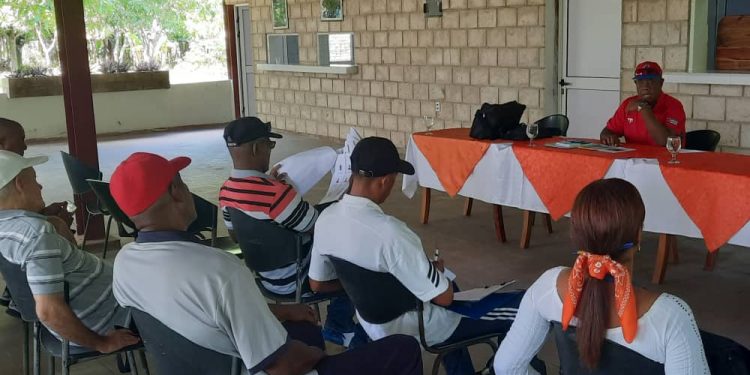 Preparan fase zonal de Liga Azucarera en Occidente