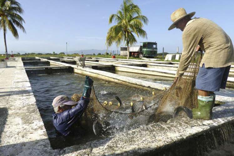 Potencian desarrollo de la acuicultura en Mayabeque
