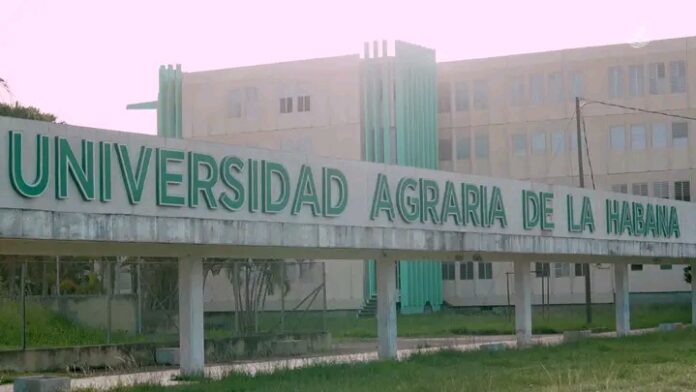 Certificada la Carrera de Gestión Sociocultural para el Desarrollo, en Universidad Agraria de la Habana