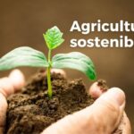Apuestan por una agricultura sostenible en San José de las Lajas. Foto: Radio Camoa