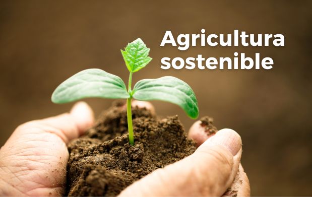 Apuestan por una agricultura sostenible en San José de las Lajas. Foto: Radio Camoa