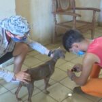 Sensibilidad y respeto por los animales