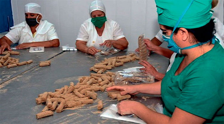 Empresa Pesquera de Batabanó retoma elaboración de conformados