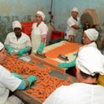 San Nicol&aacute;s enfrenta con alternativas contingencia energ&eacute;tica (+ Audio)