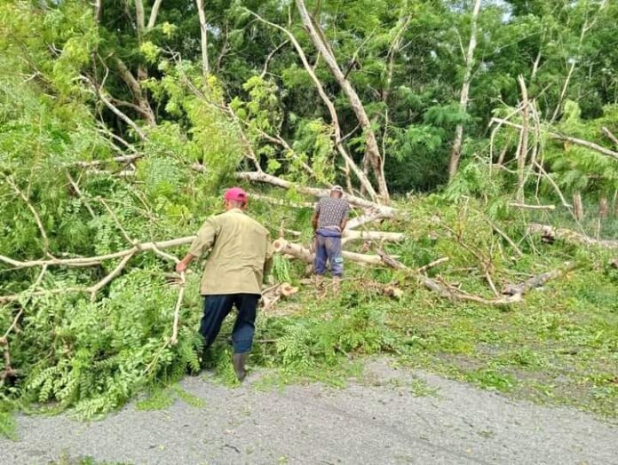 Un huracán humano devuelve la tranquilidad a todos.