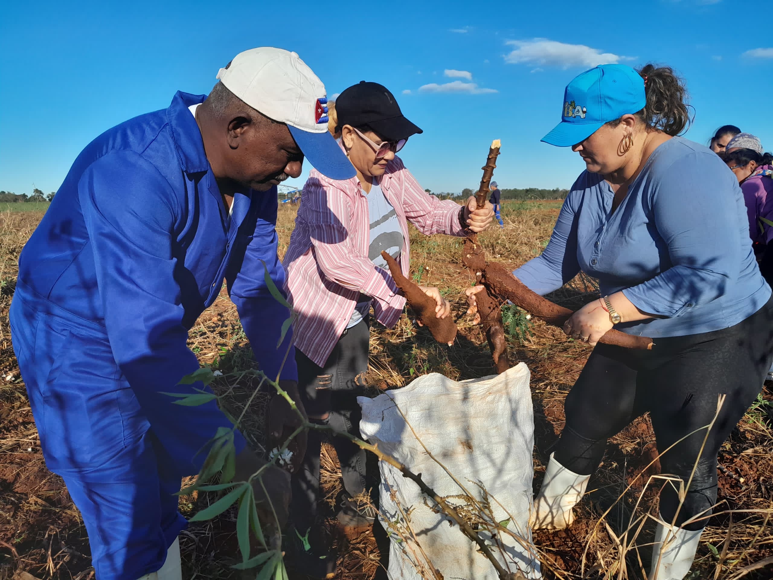 Conmemoran en Mayabeque primer trabajo voluntario de la Revolución