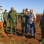 Comenzó la siembra de papa en Mayabeque (+Fotos) (+Audio)