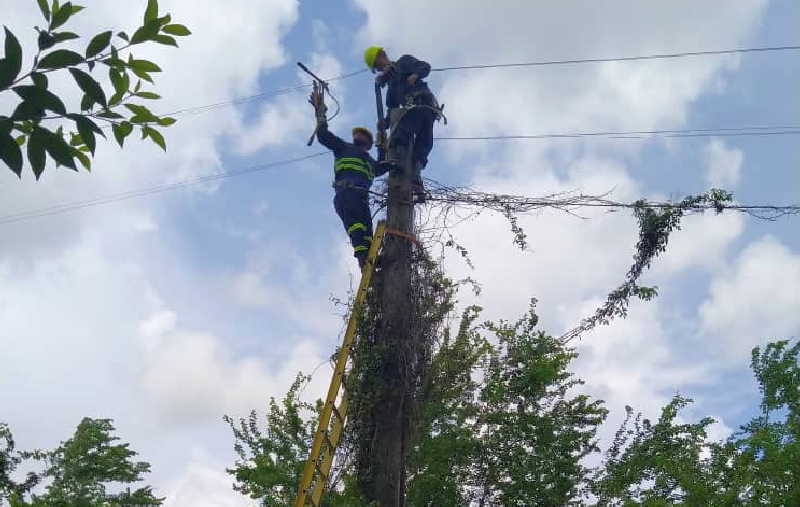 Inmersos linieros jaruqueños en las labores de recuperación