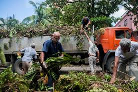 Empresa Agroforestal de Mayabeque intensifica labores de recuperación