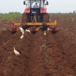 Garantizan productores de Jaruco siembra de frío. Foto: Radio Jaruco