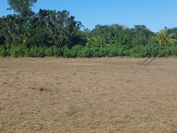 Trabajan en Caraballo para reanimar terreno de béisbol