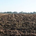 Prosigue en Jaruco entrega de tierras estatales ociosas