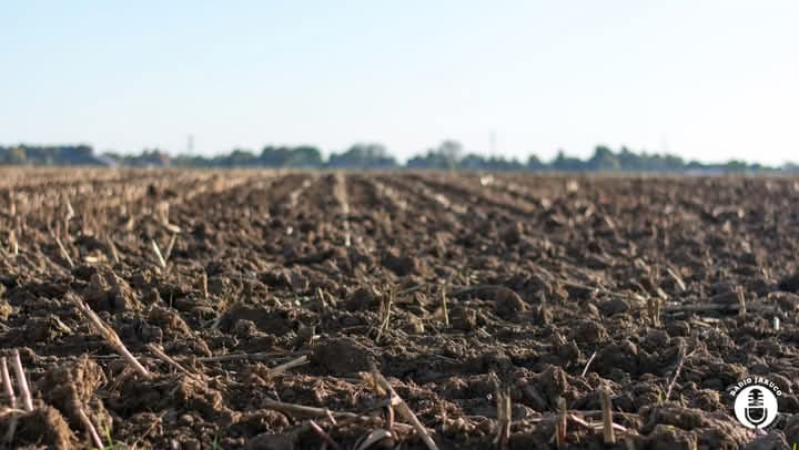 Prosigue en Jaruco entrega de tierras estatales ociosas