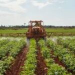 Desatar nudos y hacer producir los campos