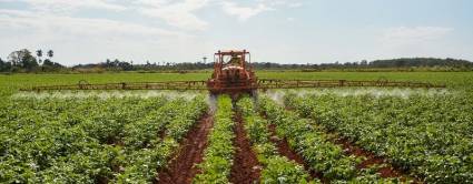Desatar nudos y hacer producir los campos