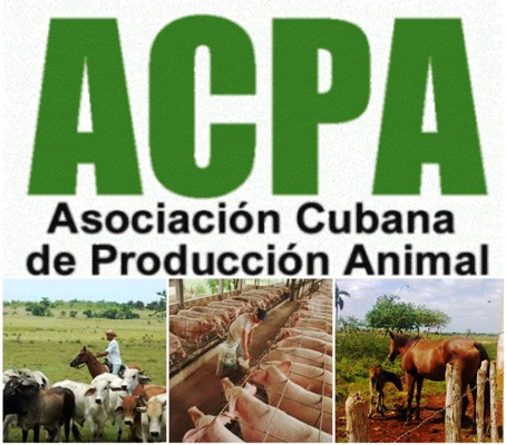 Joven productor de leche afianza lazos con la Asociación de Producción Animal en Nueva Paz