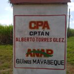 Lista  Cooperativa Capitán Alberto Torres para la zafra azucarera (+Audio) (+Fotos)