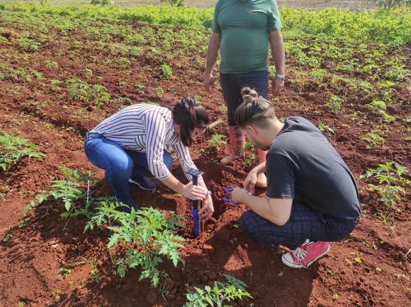 Fortalece Proyecto SISDE desarrollo de la Granja Universitaria El Guayabal