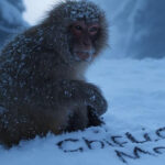 Madrugada notablemente fr&iacute;a en el occidente y centro del pa&iacute;s