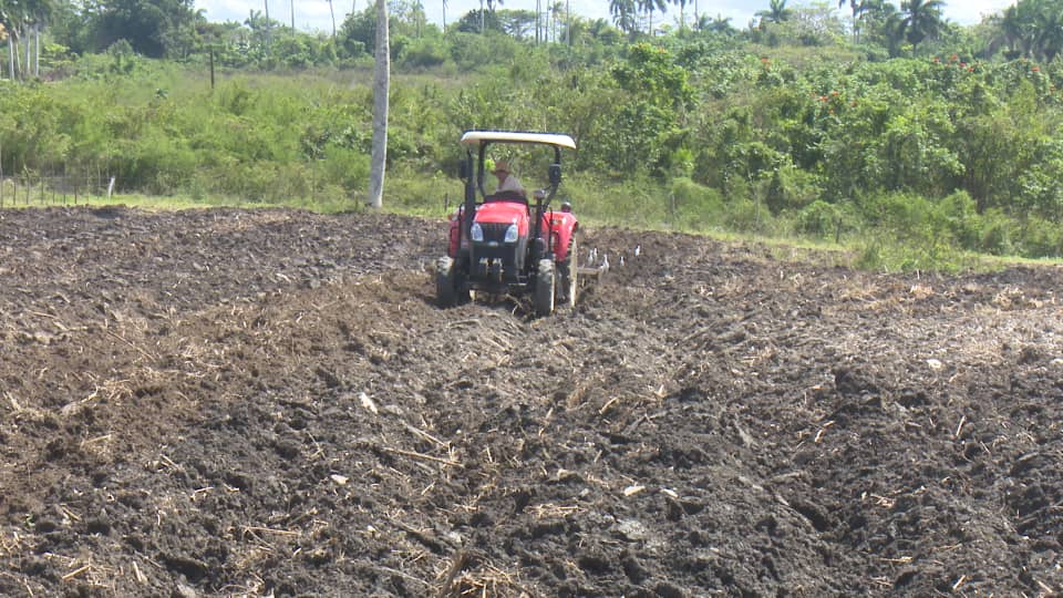 Potencian colaboración Ayuda Popular Noruega y Asociación Cubana de Producción Animal de Mayabeque