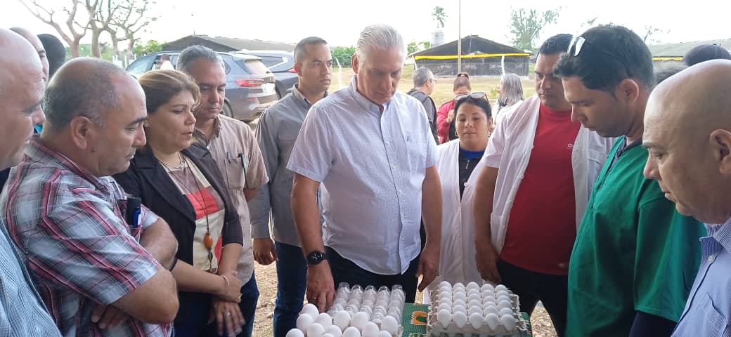 Constató Díaz-Canel avance en granja avícola La Soria de Quivicán. Foto: Diario Mayabeque