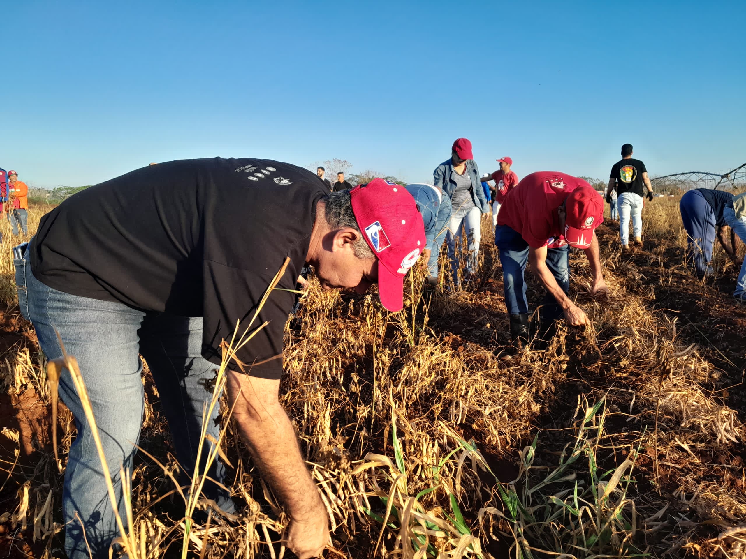 Conmemoran en Mayabeque Día de la Tierra Palestina