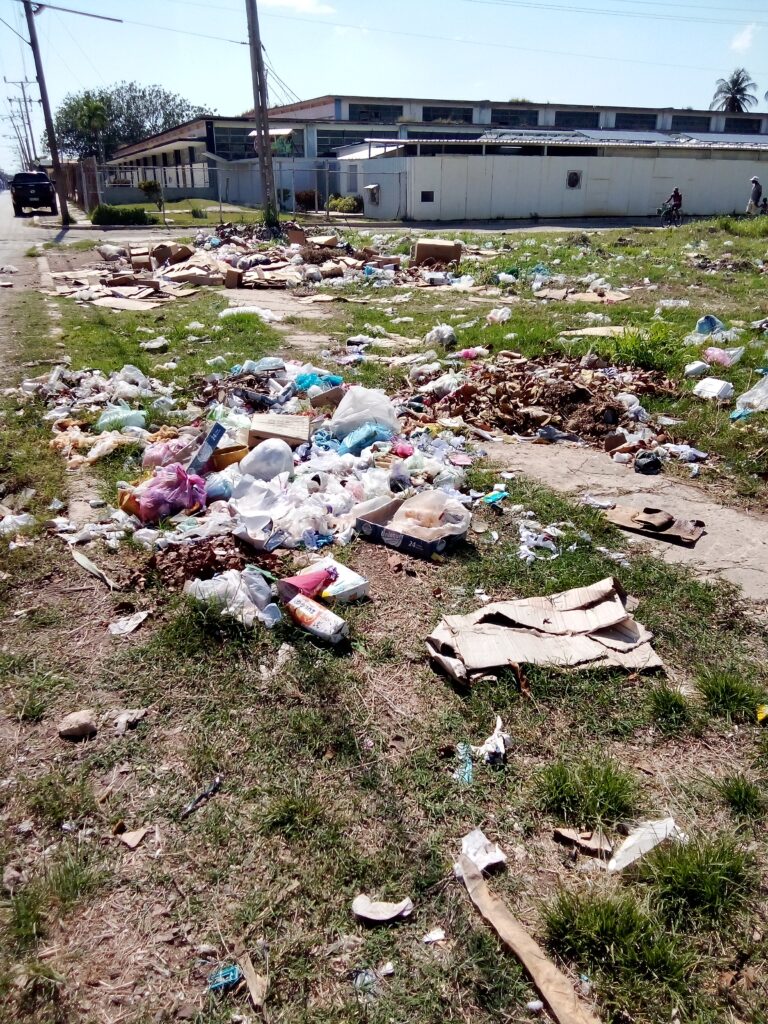 Empeño colectivo para que la ciudad no se pierda entre los desechos