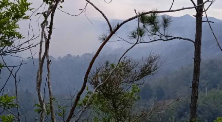 Anuncian extinción de incendio en Pinar del Río.