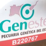 Reaniman programa ganadero en Mayabeque
