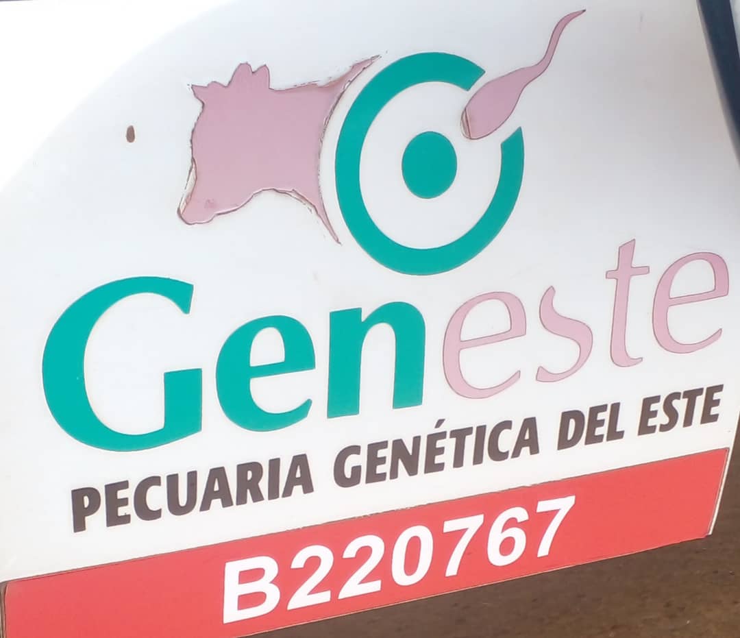 Reaniman programa ganadero en Mayabeque