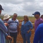 Trabajan en el montaje de parques fotovoltaicos en Mayabeque (+Fotos) (+Audio)