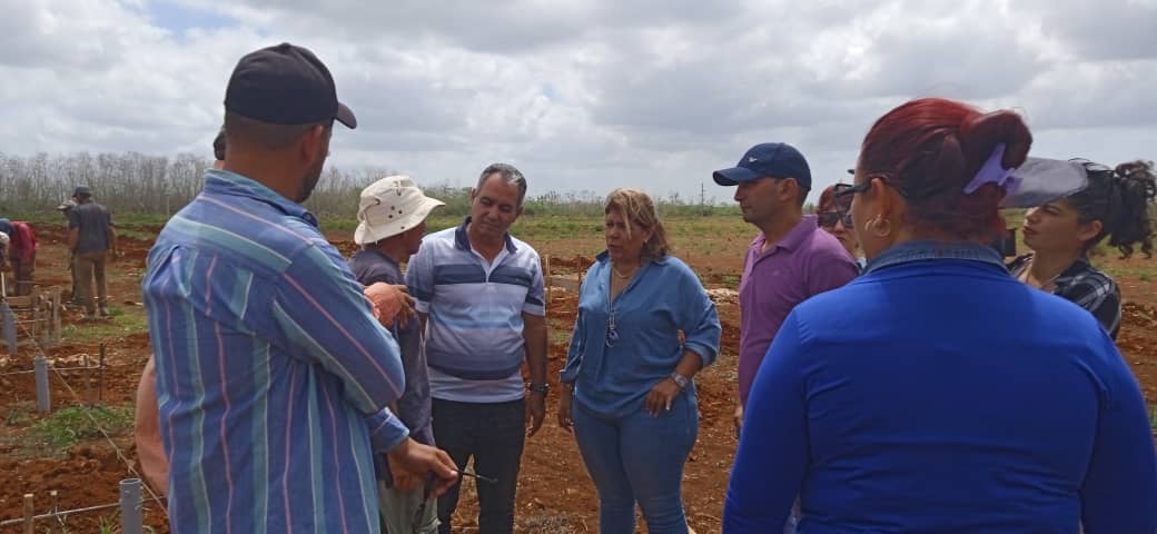 Trabajan en el montaje de parques fotovoltaicos en Mayabeque