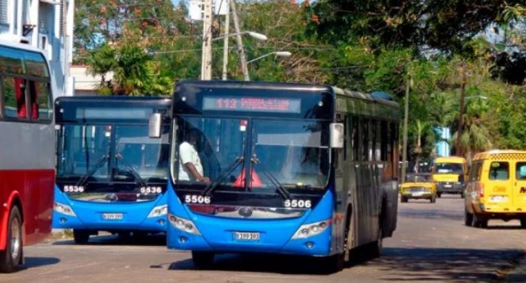 Incorporarán nuevos ómnibus al sistema de transporte público. Foto: Prensa Latina