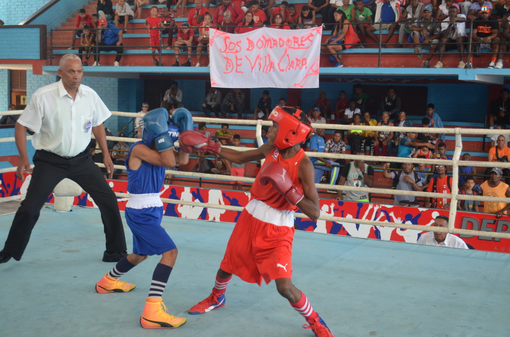 Boxeo Pioneril: el relevo más garantizado