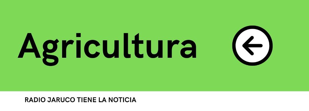 Analizan en Jaruco incumplimientos agropecuarios