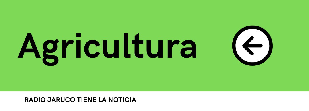 Prosigue en Jaruco proceso de inscripción de cooperativas agropecuarias