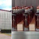 En competencia rones oscuros de Mayabeque