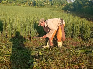 Destacan campesinos lajeros