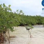 Muestran experiencias de Mayabeque en Taller Nacional del proyecto Mi Costa (+Audio)