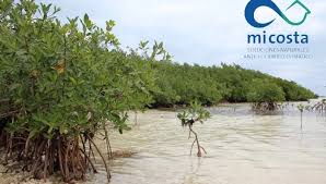 Muestran experiencias de Mayabeque en Taller Nacional del proyecto Mi Costa