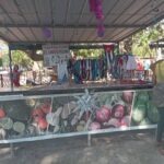 Efectuada en Mayabeque Feria Provincial Agropecuaria