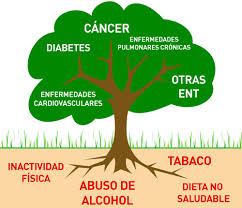 Para evitar las enfermedades crónicas no trasmisibles. Foto: Radio Camoa