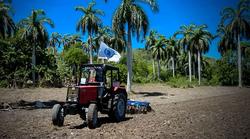 PMA y Unicef inician proyecto de seguridad alimentaria en Holguín y Mayabeque