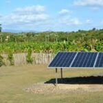 Beneficia energía solar a centro porcino