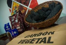 Priorizan producción de carbón vegetal. Foto: Radio Camoa