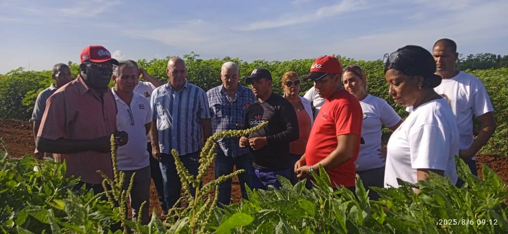 Constata vicepresidente de la República de Cuba resultados del programa agroalimentario en Mayabeque