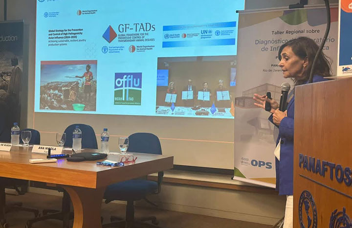 Participan especialistas del Centro Nacional de Sanidad Agropecuaria en Taller de Influenza Zoonótica.