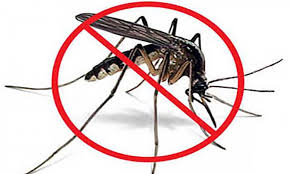 Para evitar la proliferación del Aedes Aegypti