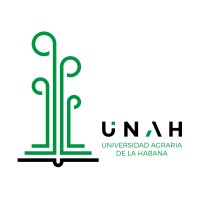 Una universidad comunitaria