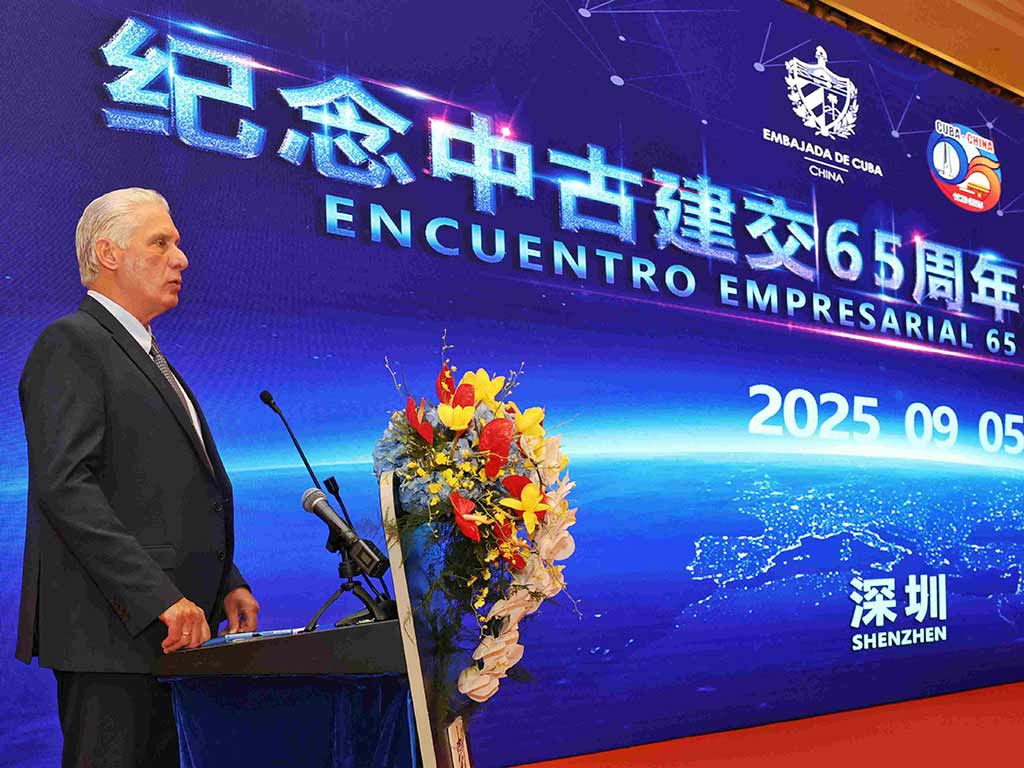 Díaz-Canel dialoga con empresarios de China interesados en Cuba. Foto: Prensa Latina